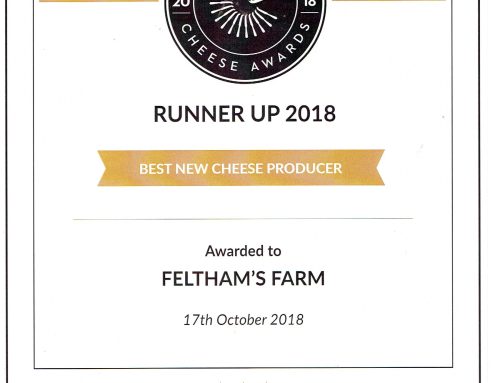 Runner-Up – Best New Cheese Producer