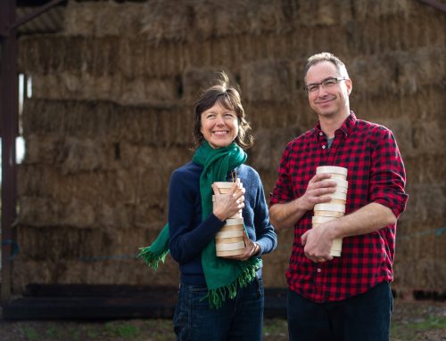 Renegade Monk is Best British Cheese for Feltham’s Farm at the VirtualCheeseAwards